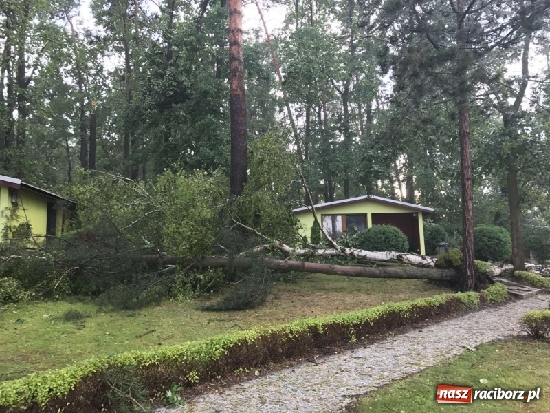 Zdjęcie w galerii na portalu naszraciborz.pl: Siedem minut, które spustoszyło Aquabrax i stadninę  wiadomości z regionu