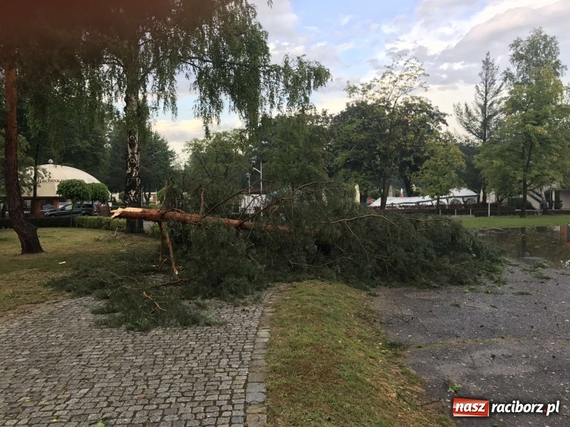 Zdjęcie w galerii na portalu naszraciborz.pl: Siedem minut, które spustoszyło Aquabrax i stadninę  wiadomości z regionu