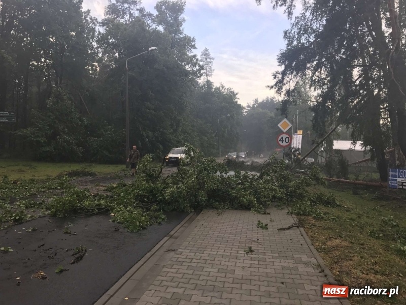 Zdjęcie w galerii na portalu naszraciborz.pl: Siedem minut, które spustoszyło Aquabrax i stadninę  wiadomości z regionu