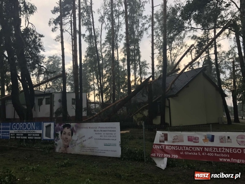 Zdjęcie w galerii na portalu naszraciborz.pl: Siedem minut, które spustoszyło Aquabrax i stadninę  wiadomości z regionu