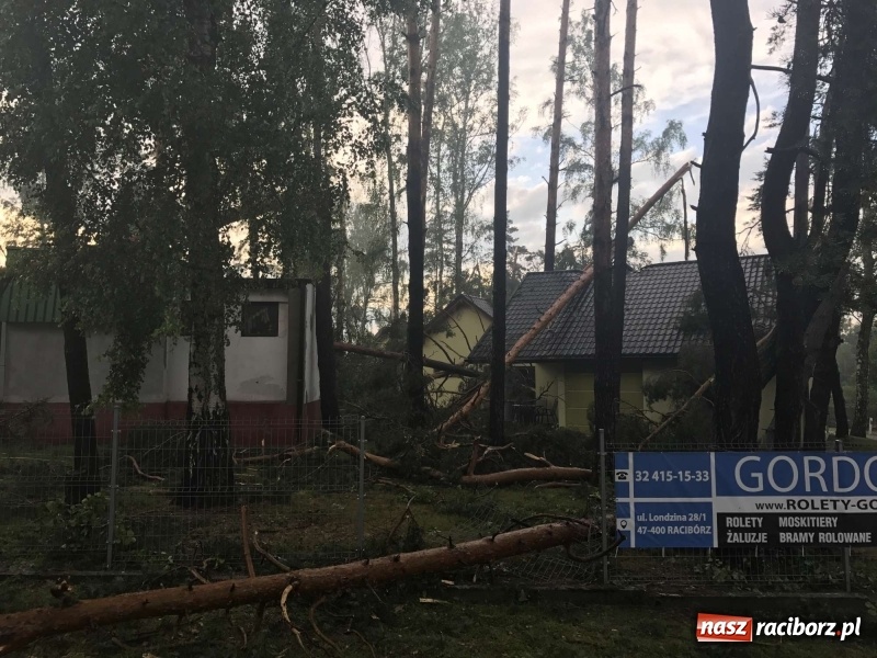 Zdjęcie w galerii na portalu naszraciborz.pl: Siedem minut, które spustoszyło Aquabrax i stadninę  wiadomości z regionu