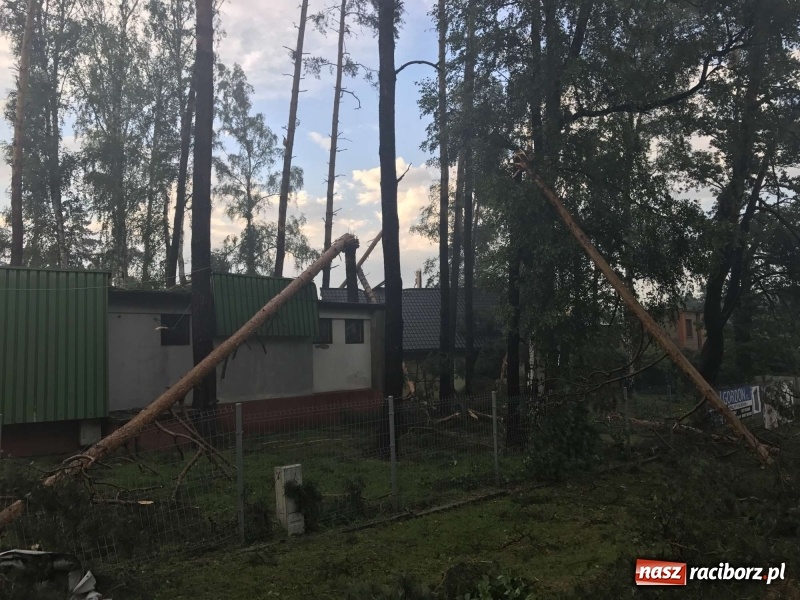Zdjęcie w galerii na portalu naszraciborz.pl: Siedem minut, które spustoszyło Aquabrax i stadninę  wiadomości z regionu
