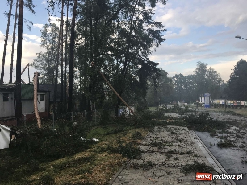 Zdjęcie w galerii na portalu naszraciborz.pl: Siedem minut, które spustoszyło Aquabrax i stadninę  wiadomości z regionu