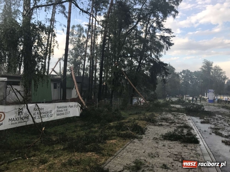 Zdjęcie w galerii na portalu naszraciborz.pl: Siedem minut, które spustoszyło Aquabrax i stadninę  wiadomości z regionu