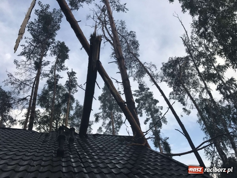 Zdjęcie w galerii na portalu naszraciborz.pl: Siedem minut, które spustoszyło Aquabrax i stadninę  wiadomości z regionu