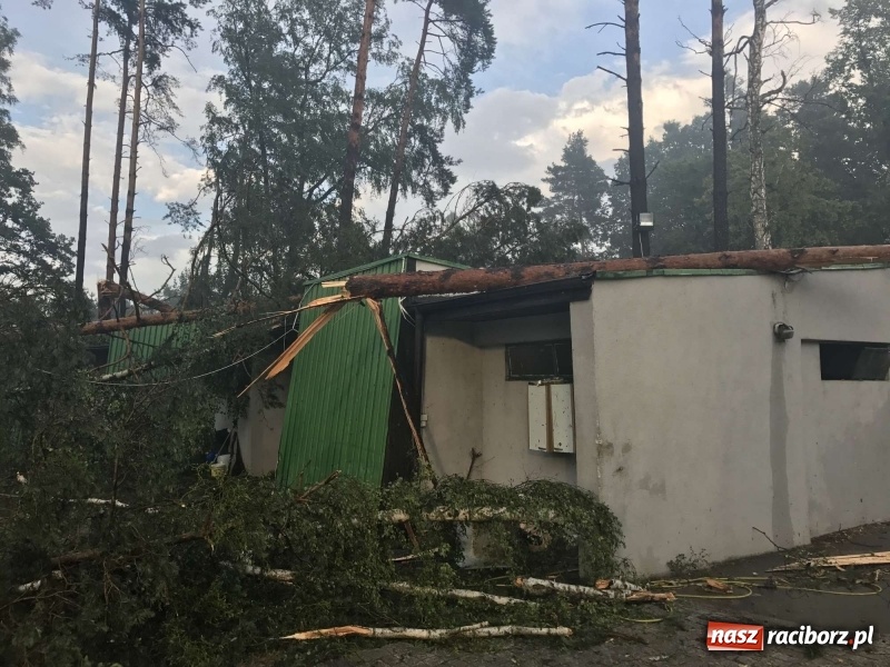 Zdjęcie w galerii na portalu naszraciborz.pl: Siedem minut, które spustoszyło Aquabrax i stadninę  wiadomości z regionu