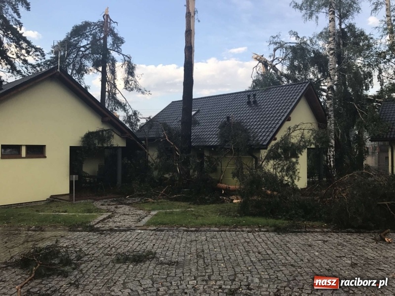 Zdjęcie w galerii na portalu naszraciborz.pl: Siedem minut, które spustoszyło Aquabrax i stadninę  wiadomości z regionu