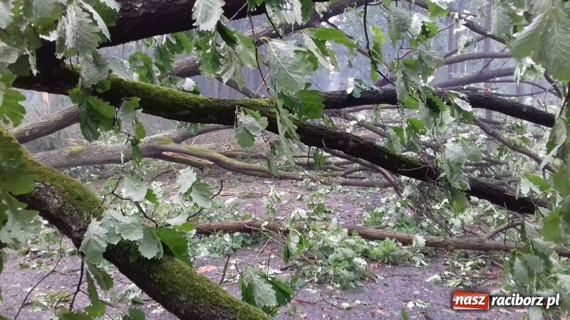 Zdjęcie w galerii na portalu naszraciborz.pl: Zdjęcia z piekła - relacja świadka przejścia nawałnicy wiadomości z regionu