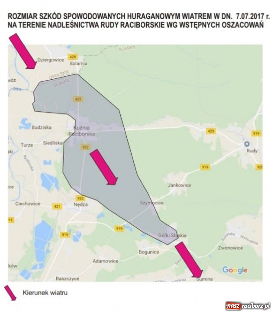 Zdjęcie w galerii na portalu naszraciborz.pl: Nadleśnictwo Rudy Raciborskie oszacowało rozmiar strat  wiadomości z regionu