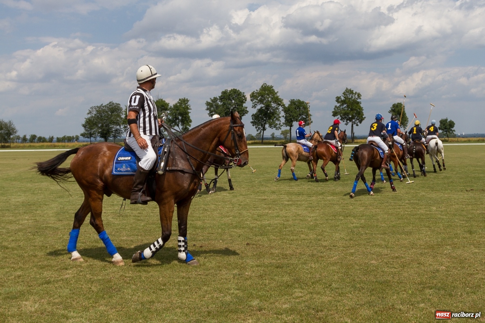 Zdjęcie w galerii na portalu naszraciborz.pl: Silesian Classic Nations Cup w Zakrzowie FOTORELACJA  wiadomości z regionu
