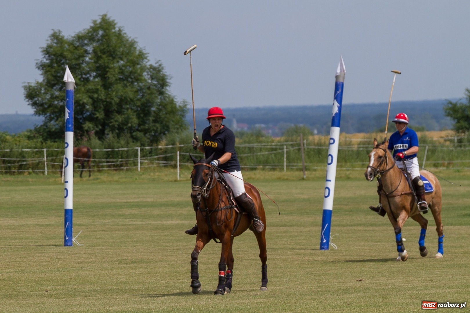 Zdjęcie w galerii na portalu naszraciborz.pl: Silesian Classic Nations Cup w Zakrzowie FOTORELACJA  wiadomości z regionu
