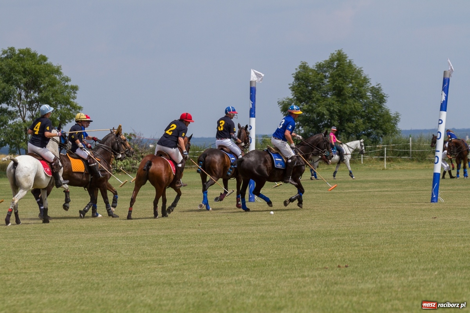 Zdjęcie w galerii na portalu naszraciborz.pl: Silesian Classic Nations Cup w Zakrzowie FOTORELACJA  wiadomości z regionu
