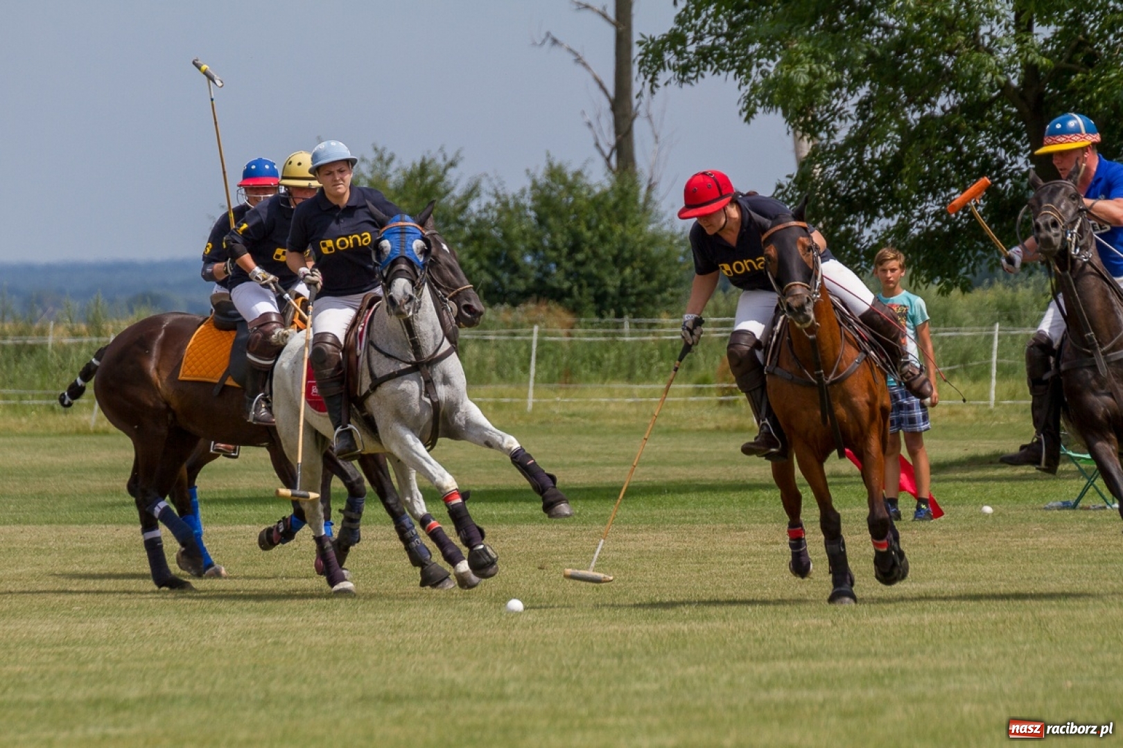Zdjęcie w galerii na portalu naszraciborz.pl: Silesian Classic Nations Cup w Zakrzowie FOTORELACJA  wiadomości z regionu