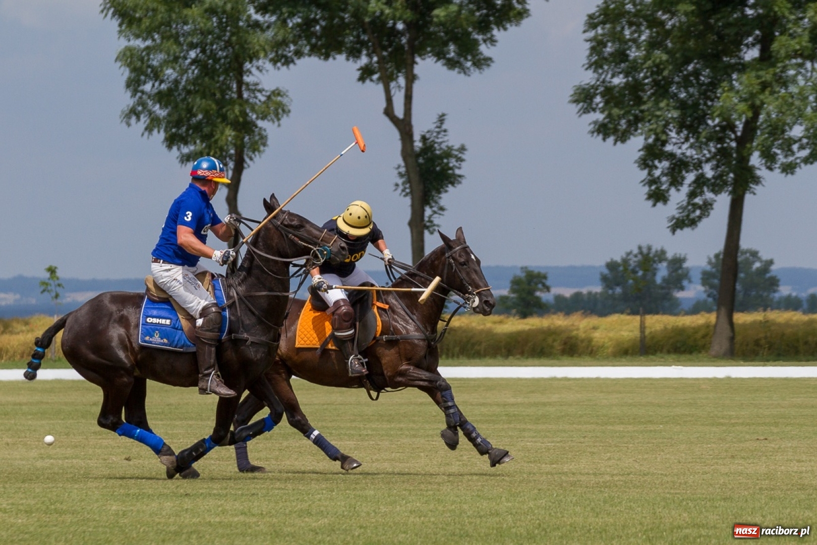 Zdjęcie w galerii na portalu naszraciborz.pl: Silesian Classic Nations Cup w Zakrzowie FOTORELACJA  wiadomości z regionu