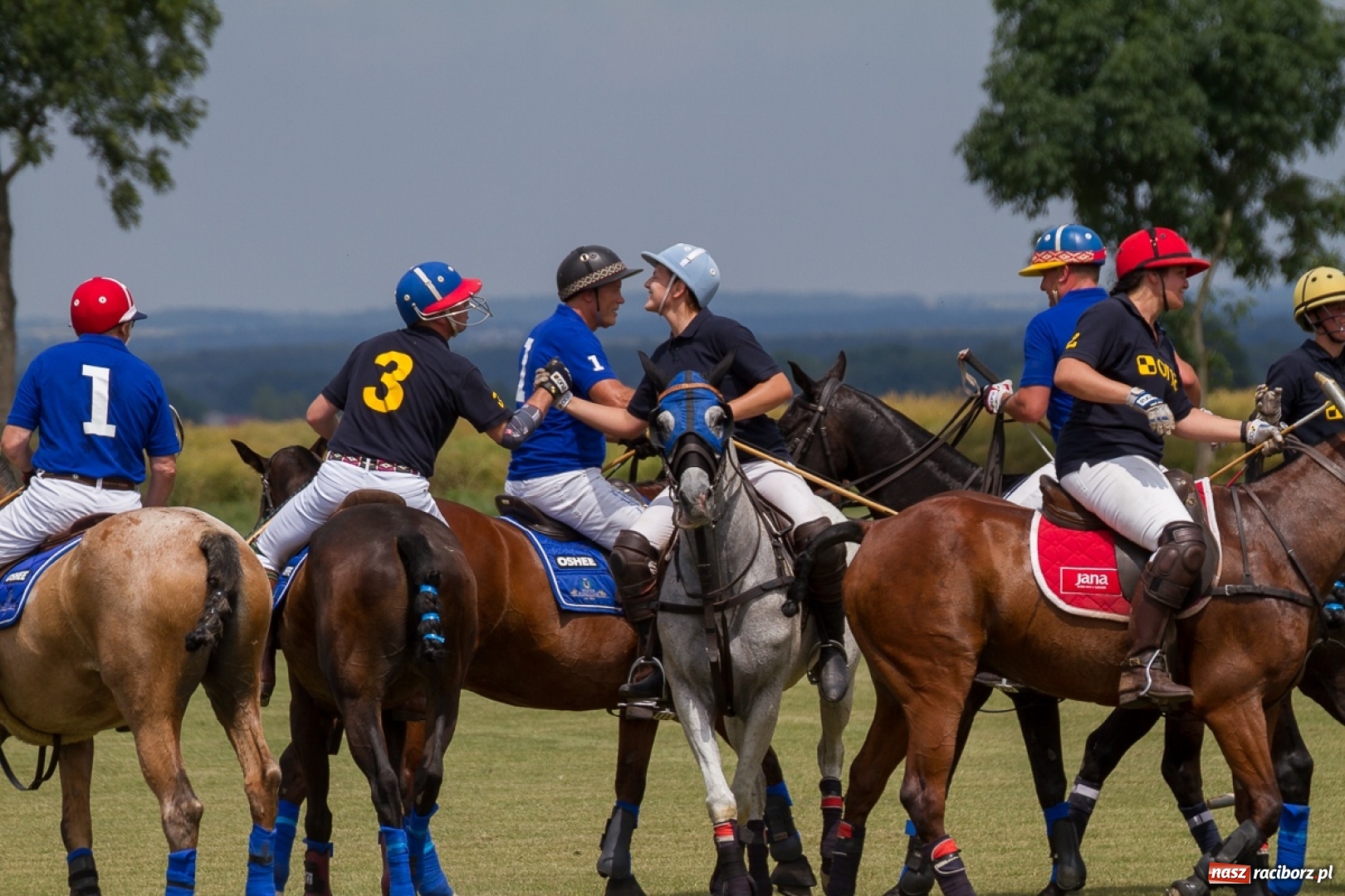 Zdjęcie w galerii na portalu naszraciborz.pl: Silesian Classic Nations Cup w Zakrzowie FOTORELACJA  wiadomości z regionu