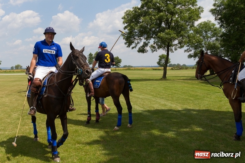 Zdjęcie w galerii na portalu naszraciborz.pl: Silesian Classic Nations Cup w Zakrzowie FOTORELACJA  wiadomości z regionu
