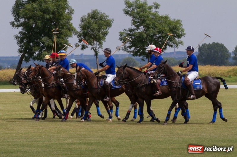 Zdjęcie w galerii na portalu naszraciborz.pl: Silesian Classic Nations Cup w Zakrzowie FOTORELACJA  wiadomości z regionu