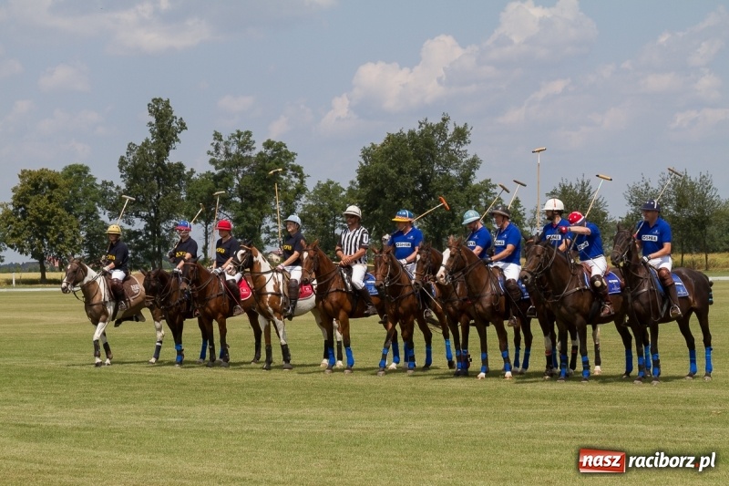 Zdjęcie w galerii na portalu naszraciborz.pl: Silesian Classic Nations Cup w Zakrzowie FOTORELACJA  wiadomości z regionu