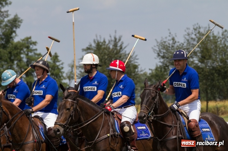 Zdjęcie w galerii na portalu naszraciborz.pl: Silesian Classic Nations Cup w Zakrzowie FOTORELACJA  wiadomości z regionu