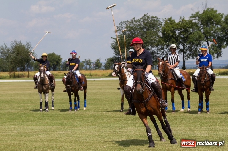 Zdjęcie w galerii na portalu naszraciborz.pl: Silesian Classic Nations Cup w Zakrzowie FOTORELACJA  wiadomości z regionu