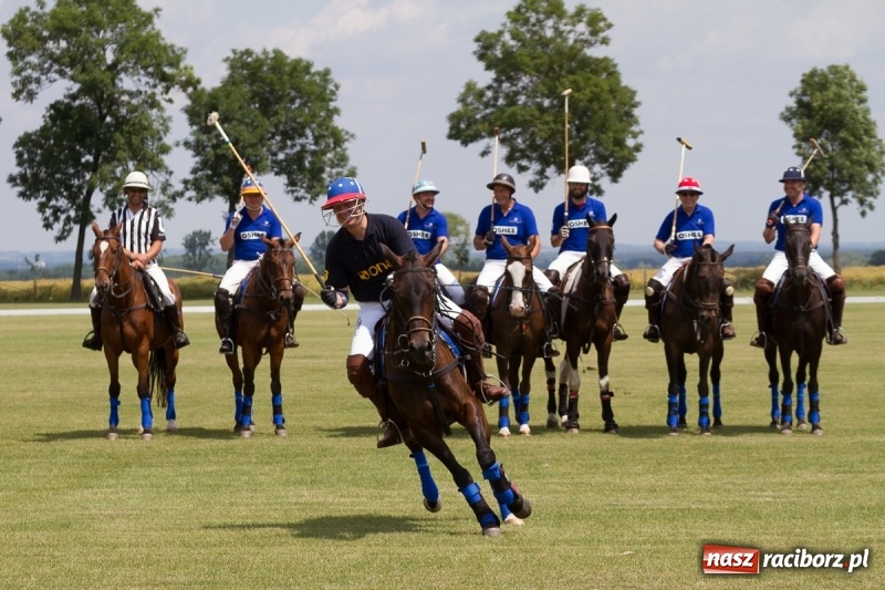 Zdjęcie w galerii na portalu naszraciborz.pl: Silesian Classic Nations Cup w Zakrzowie FOTORELACJA  wiadomości z regionu