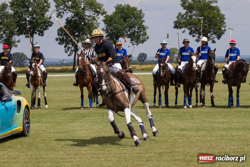 Zdjęcie w galerii na portalu naszraciborz.pl: Silesian Classic Nations Cup w Zakrzowie FOTORELACJA  wiadomości z regionu
