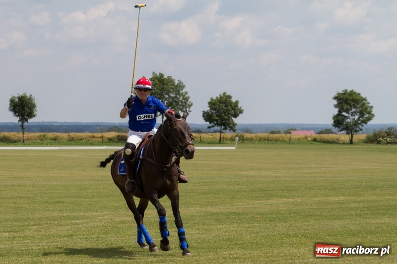 Zdjęcie w galerii na portalu naszraciborz.pl: Silesian Classic Nations Cup w Zakrzowie FOTORELACJA  wiadomości z regionu