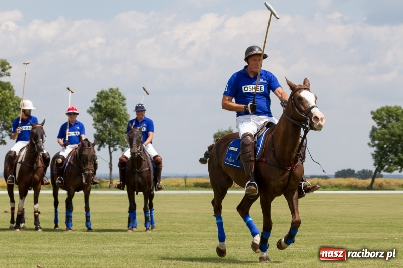 Zdjęcie w galerii na portalu naszraciborz.pl: Silesian Classic Nations Cup w Zakrzowie FOTORELACJA  wiadomości z regionu