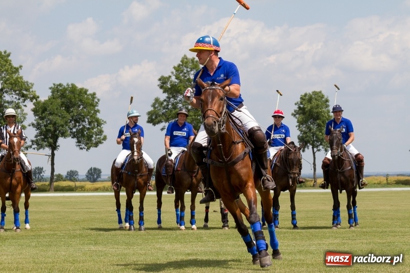 Zdjęcie w galerii na portalu naszraciborz.pl: Silesian Classic Nations Cup w Zakrzowie FOTORELACJA  wiadomości z regionu