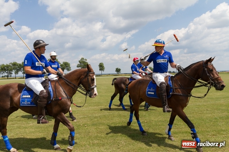 Zdjęcie w galerii na portalu naszraciborz.pl: Silesian Classic Nations Cup w Zakrzowie FOTORELACJA  wiadomości z regionu