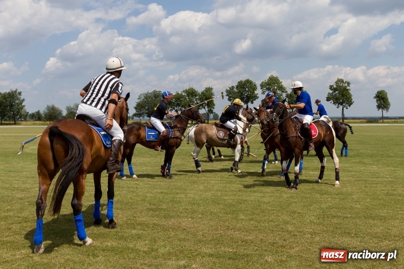 Zdjęcie w galerii na portalu naszraciborz.pl: Silesian Classic Nations Cup w Zakrzowie FOTORELACJA  wiadomości z regionu