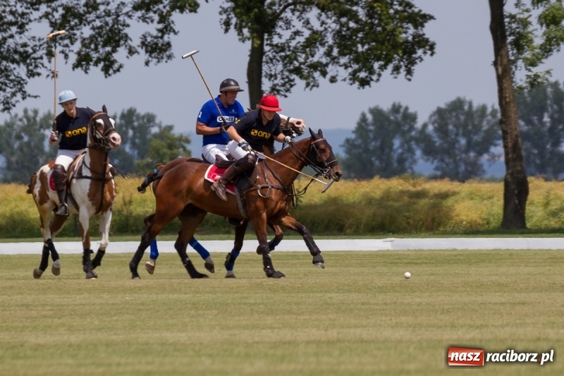 Zdjęcie w galerii na portalu naszraciborz.pl: Silesian Classic Nations Cup w Zakrzowie FOTORELACJA  wiadomości z regionu