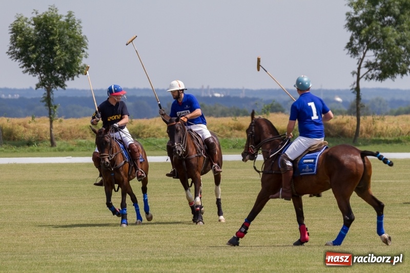 Zdjęcie w galerii na portalu naszraciborz.pl: Silesian Classic Nations Cup w Zakrzowie FOTORELACJA  wiadomości z regionu