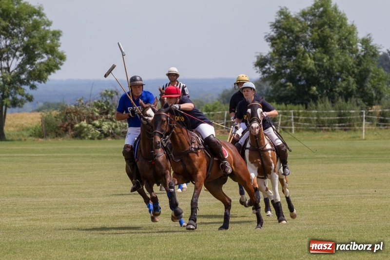 Zdjęcie w galerii na portalu naszraciborz.pl: Silesian Classic Nations Cup w Zakrzowie FOTORELACJA  wiadomości z regionu
