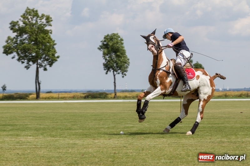 Zdjęcie w galerii na portalu naszraciborz.pl: Silesian Classic Nations Cup w Zakrzowie FOTORELACJA  wiadomości z regionu