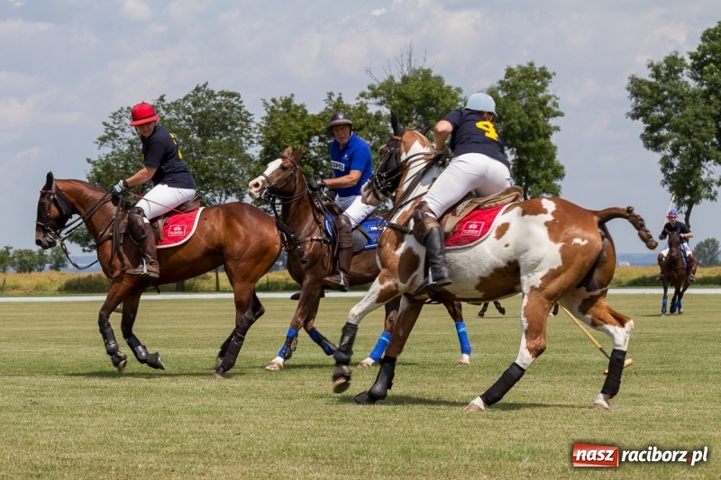 Zdjęcie w galerii na portalu naszraciborz.pl: Silesian Classic Nations Cup w Zakrzowie FOTORELACJA  wiadomości z regionu