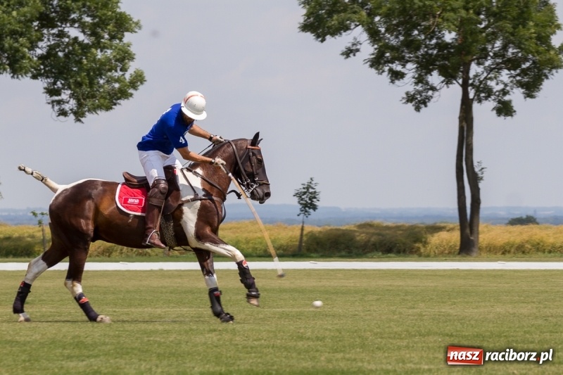 Zdjęcie w galerii na portalu naszraciborz.pl: Silesian Classic Nations Cup w Zakrzowie FOTORELACJA  wiadomości z regionu