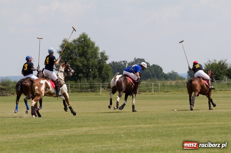 Zdjęcie w galerii na portalu naszraciborz.pl: Silesian Classic Nations Cup w Zakrzowie FOTORELACJA  wiadomości z regionu