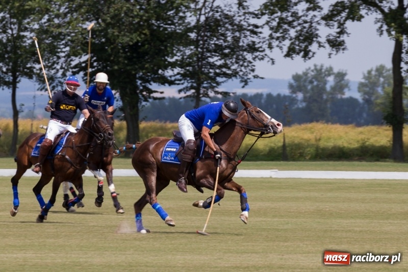 Zdjęcie w galerii na portalu naszraciborz.pl: Silesian Classic Nations Cup w Zakrzowie FOTORELACJA  wiadomości z regionu