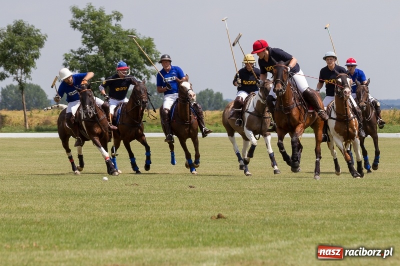 Zdjęcie w galerii na portalu naszraciborz.pl: Silesian Classic Nations Cup w Zakrzowie FOTORELACJA  wiadomości z regionu