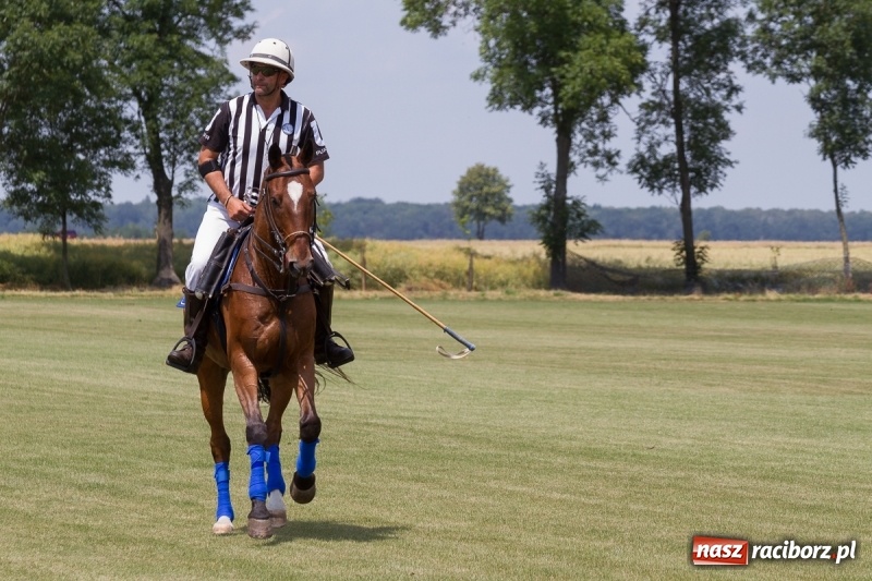 Zdjęcie w galerii na portalu naszraciborz.pl: Silesian Classic Nations Cup w Zakrzowie FOTORELACJA  wiadomości z regionu