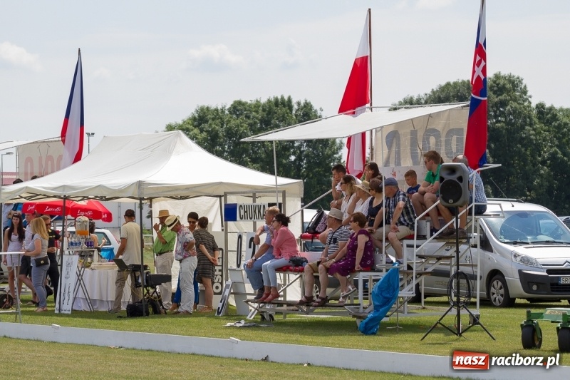 Zdjęcie w galerii na portalu naszraciborz.pl: Silesian Classic Nations Cup w Zakrzowie FOTORELACJA  wiadomości z regionu