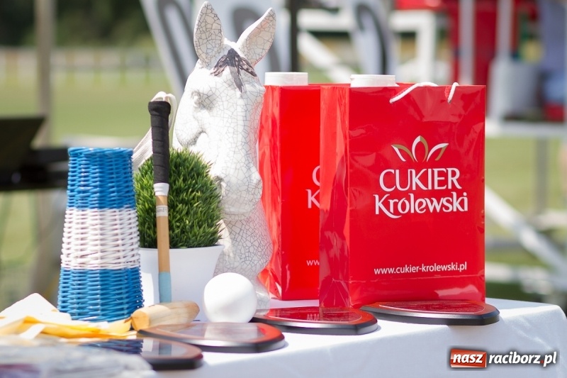 Zdjęcie w galerii na portalu naszraciborz.pl: Silesian Classic Nations Cup w Zakrzowie FOTORELACJA  wiadomości z regionu