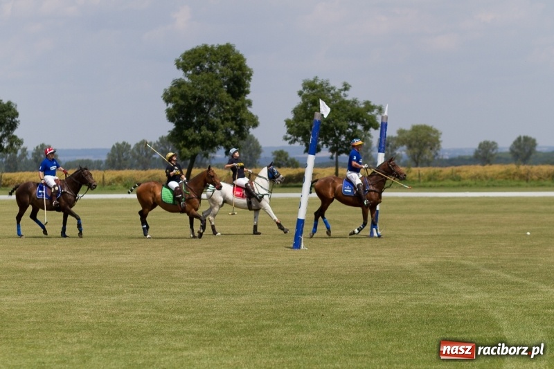 Zdjęcie w galerii na portalu naszraciborz.pl: Silesian Classic Nations Cup w Zakrzowie FOTORELACJA  wiadomości z regionu