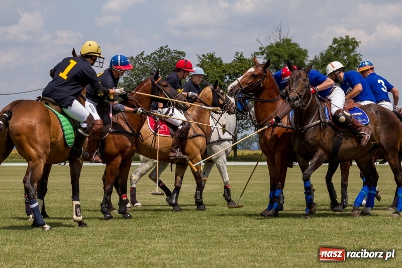 Zdjęcie w galerii na portalu naszraciborz.pl: Silesian Classic Nations Cup w Zakrzowie FOTORELACJA  wiadomości z regionu