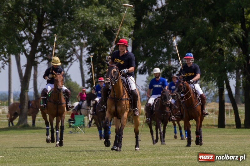 Zdjęcie w galerii na portalu naszraciborz.pl: Silesian Classic Nations Cup w Zakrzowie FOTORELACJA  wiadomości z regionu
