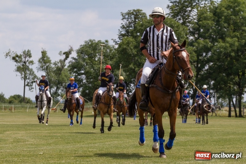 Zdjęcie w galerii na portalu naszraciborz.pl: Silesian Classic Nations Cup w Zakrzowie FOTORELACJA  wiadomości z regionu