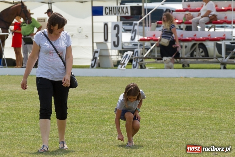 Zdjęcie w galerii na portalu naszraciborz.pl: Silesian Classic Nations Cup w Zakrzowie FOTORELACJA  wiadomości z regionu