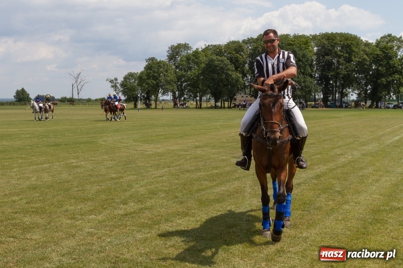 Zdjęcie w galerii na portalu naszraciborz.pl: Silesian Classic Nations Cup w Zakrzowie FOTORELACJA  wiadomości z regionu