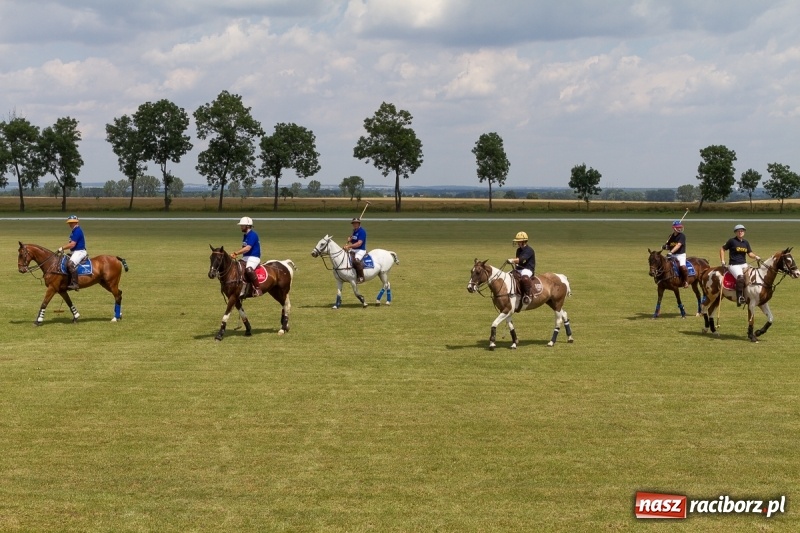 Zdjęcie w galerii na portalu naszraciborz.pl: Silesian Classic Nations Cup w Zakrzowie FOTORELACJA  wiadomości z regionu